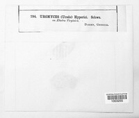 Image Associated With the Occurence